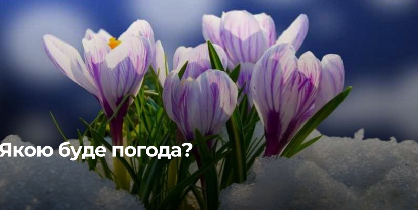 Рівненщина: Прогноз погоди на 3 березня