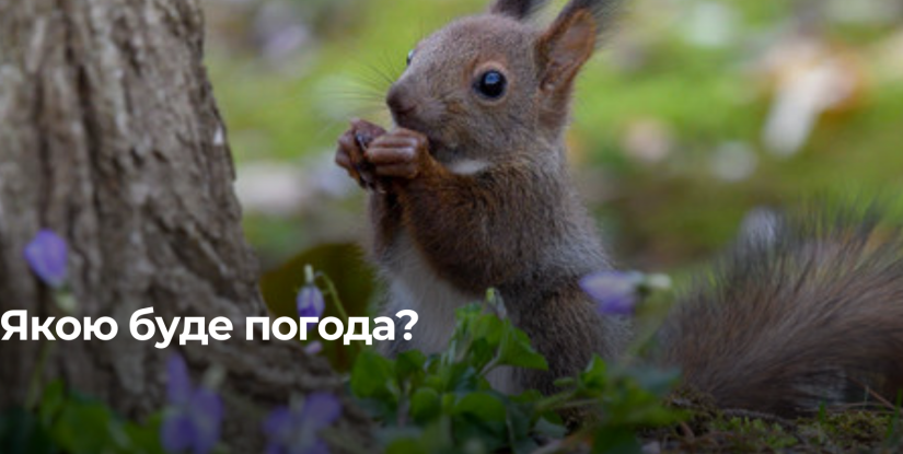 Рівненщину чекає тепле березнявельне небо