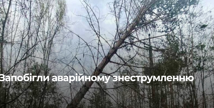 На Сарненщині енергетики відвернули знеструмлення чотирьох сіл