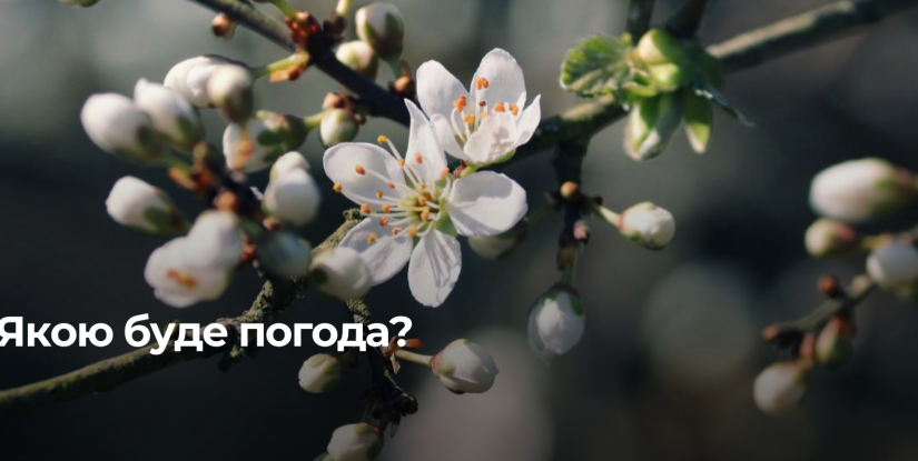 Якою буде погода на Рівненщині 25 квітня