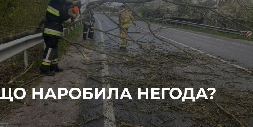 Негода на Рівненщині: повалені дерева, знеструмлені села і цілодобова робота служб
