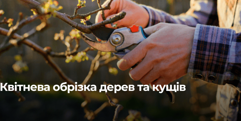 Догляд за садом у квітні: коли і як обрізати дерева та кущі