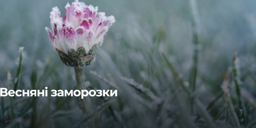 Прогноз погоди на Рівненщині: заморозки та теплі дні