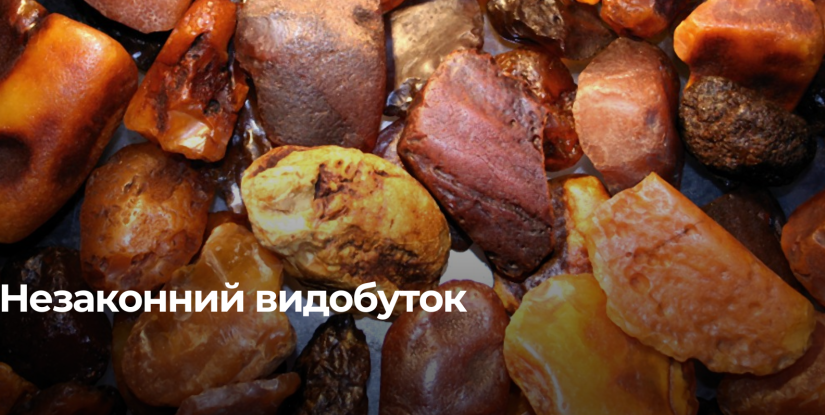 Незаконний видобуток бурштину на Рівненщині: судове переслідування