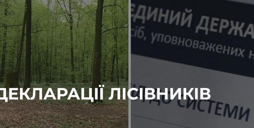 Доходи та майно керівників надлісництв Рівненщини: що показали декларації