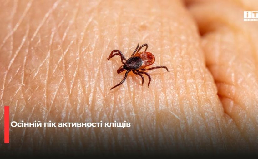 На Рівненщині зафіксували стрімке зростання захворюваності на хворобу Лайма