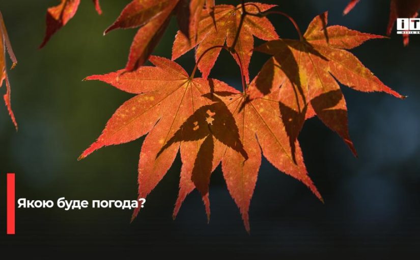 Прогноз погоди на Рівненщині: до 26 градусів тепла у неділю