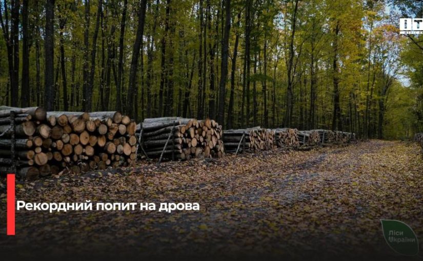 Ситуація з попитом на дрова на Поліссі: підсумки та плани