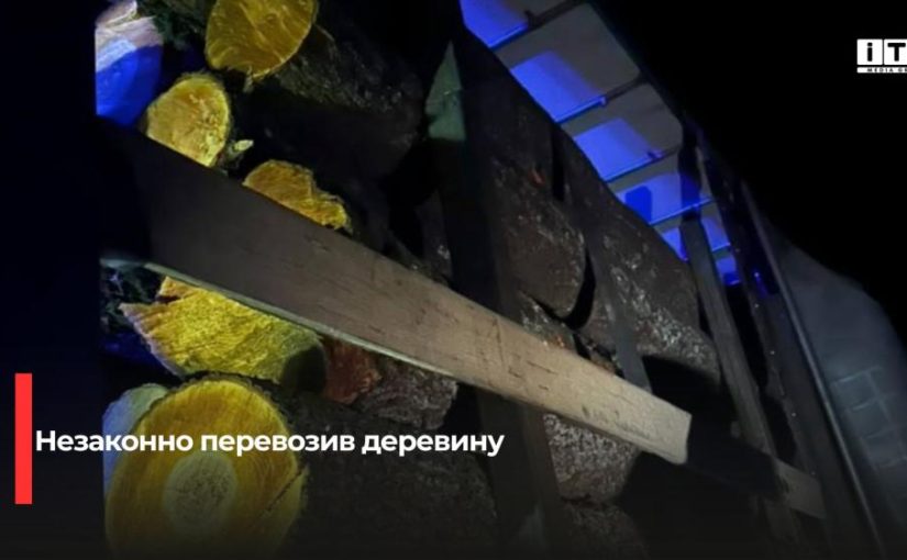 На Рівненщині викрили перевезення деревини без належних документів