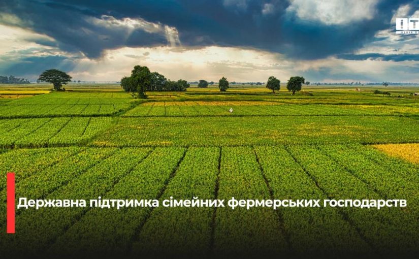 Уряд встановив чіткий порядок поновлення доплати ЄСВ для сімейних фермерських господарств