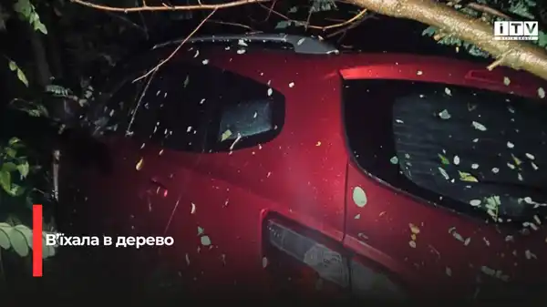ДТП на Рівненщині: водійка врізалася в дерево на трасі Київ — Чоп