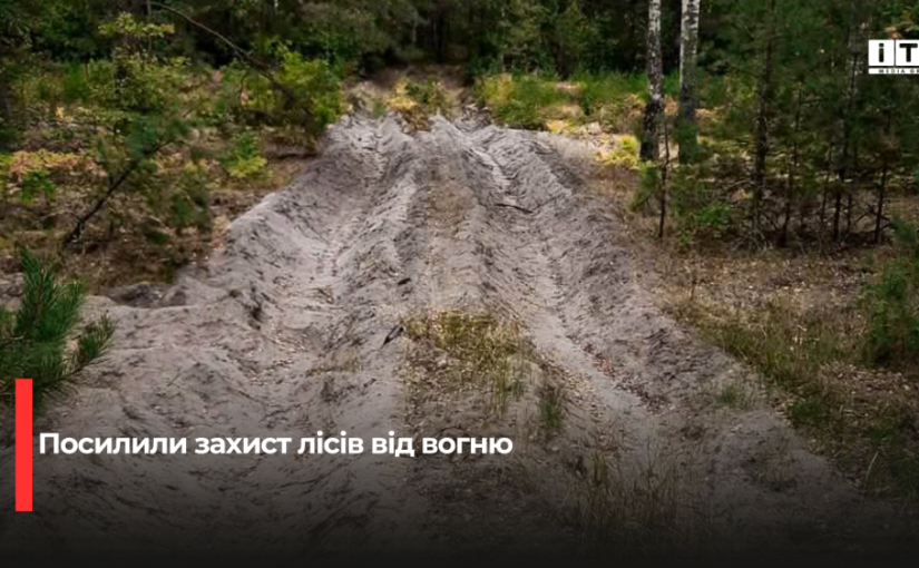Як на Рівненщині рятують ліси від аномальної спеки та вогню