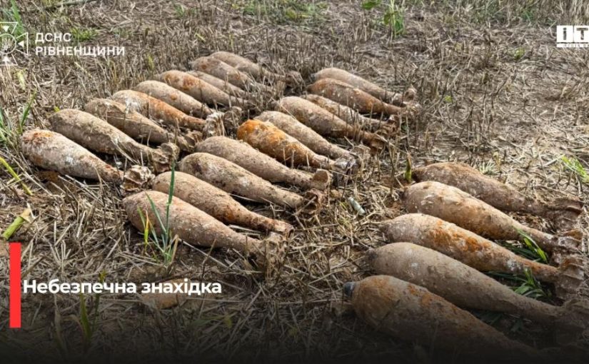 На Рівненщині піротехніки ДСНС знешкодили 24 міни часів Другої світової війни