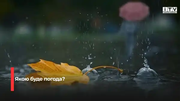 Прогноз погоди на Рівненщині: очікується посилення вітру та дощі